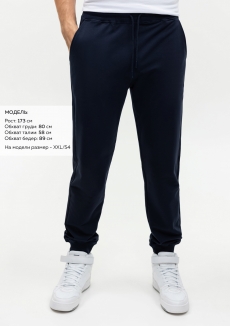 Брюки мужские STAN футер без начёса, 245, 92