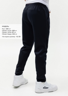 Брюки мужские STAN полиэстер, 260, 94