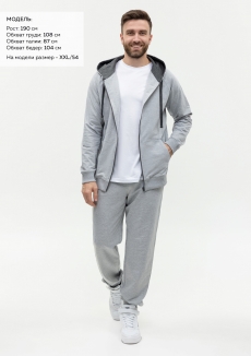 Брюки мужские STAN футер без начёса, 260, 62