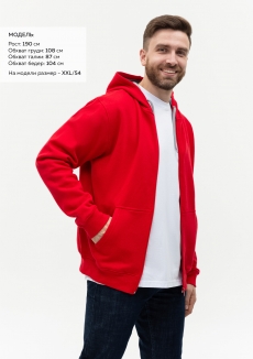 Толстовка мужская STAN с капюшоном на молнии футер с начёсом 280, 17