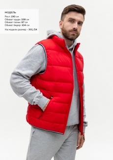 Жилет мужской STAN утепленный таффета 210T,65, 82