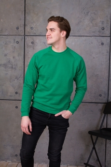 Свитшот унисекс STAN футер с начёсом 260, 53