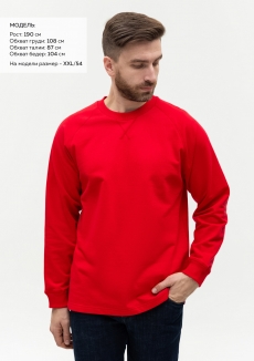 Свитшот унисекс STAN футер с начёсом 220, 60